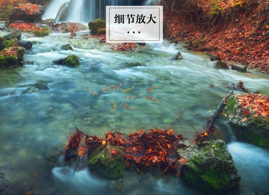 4399红莲之王
